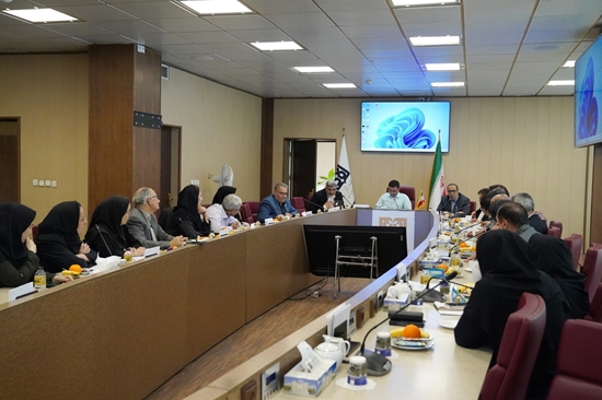 برگزاری هفتمین جلسه ستاد اجرایی و هماهنگی برنامه پزشکی خانواده و نظام ارجاع معاونت بهداشت 